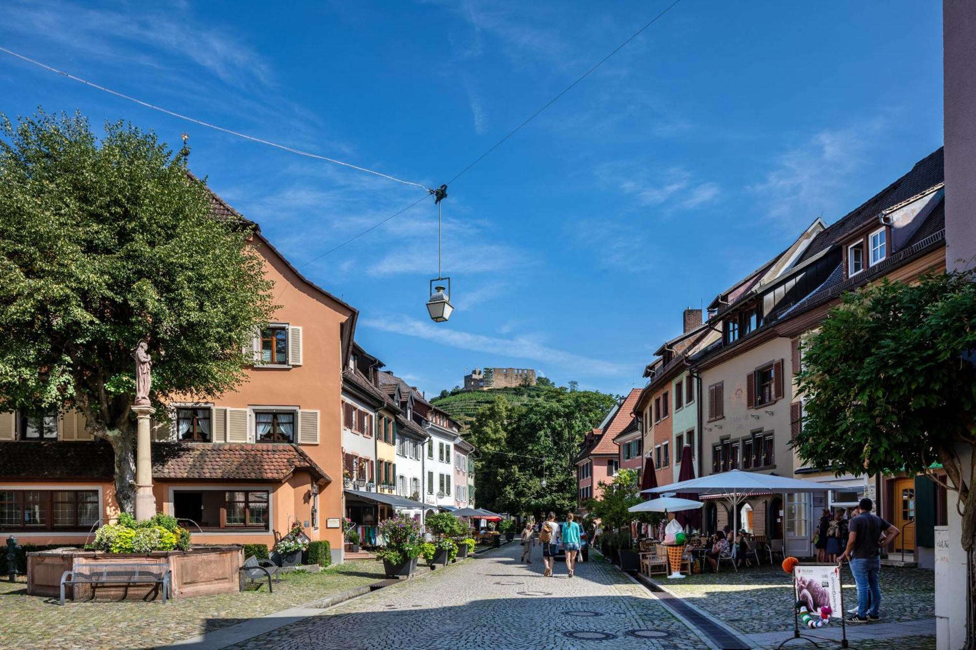 Ferienwohnung Am Neumagen Staufen im Breisgau Dış mekan fotoğraf